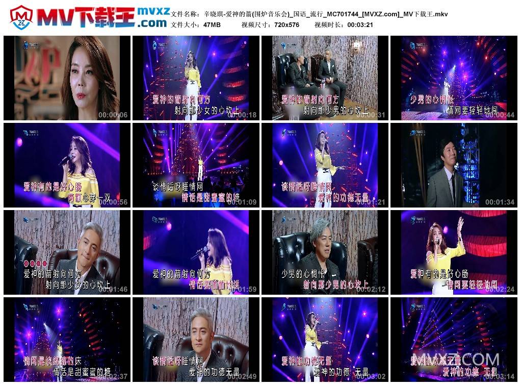 辛晓琪-爱神的箭(围炉音乐会)_国语_流行_MC701744